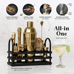 Modern Cobbler Bartender Kit