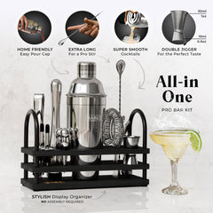 Modern Cobbler Bartender Kit