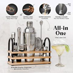 Modern Cobbler Bartender Kit